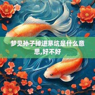 梦见孙子掉进茅坑是什么意思,好不好