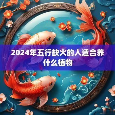 2025年五行缺火的人适合养什么植物