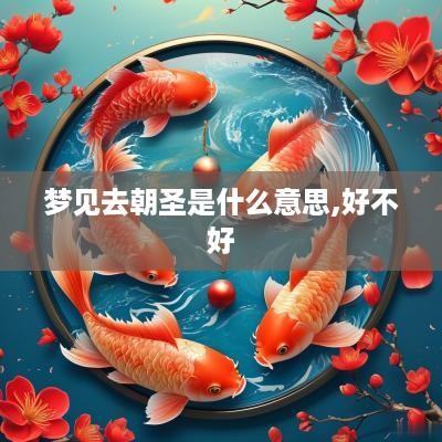 梦见去朝圣是什么意思,好不好