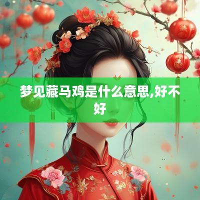 梦见藏马鸡是什么意思,好不好