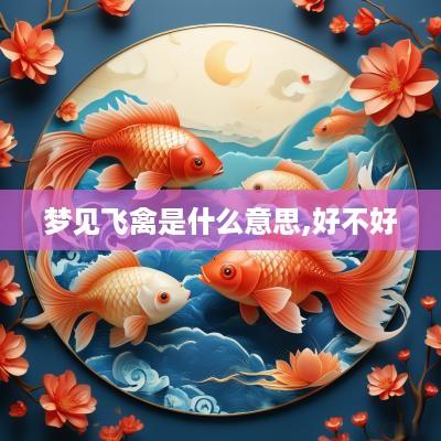 梦见飞禽是什么意思,好不好