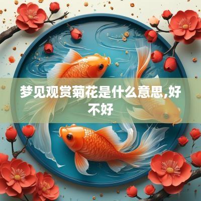 梦见观赏菊花是什么意思,好不好
