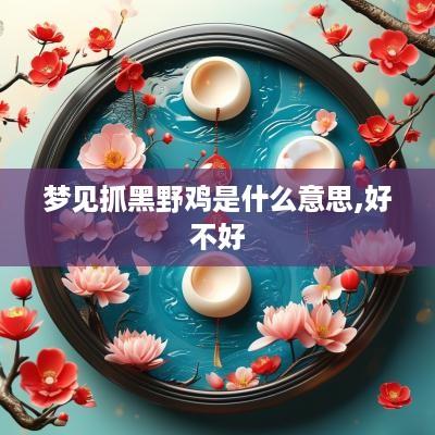梦见抓黑野鸡是什么意思,好不好