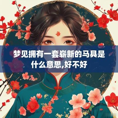 梦见拥有一套崭新的马具是什么意思,好不好