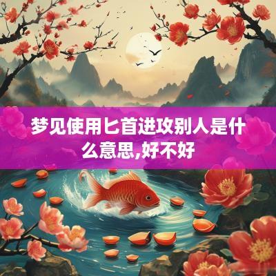 梦见使用匕首进攻别人是什么意思,好不好