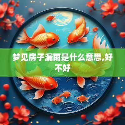 梦见房子漏雨是什么意思,好不好