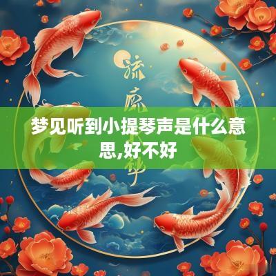 梦见听到小提琴声是什么意思,好不好