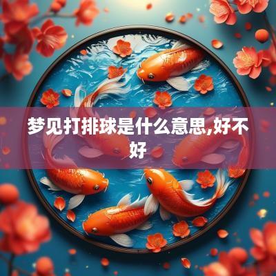 梦见打排球是什么意思,好不好