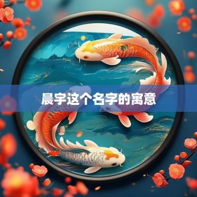晨宇这个名字的寓意