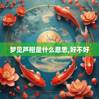 梦见芦柑是什么意思,好不好
