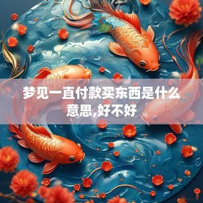 梦见一直付款买东西是什么意思,好不好