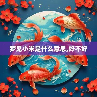 梦见小米是什么意思,好不好