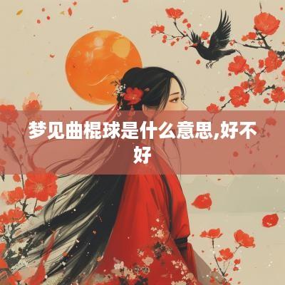 梦见曲棍球是什么意思,好不好