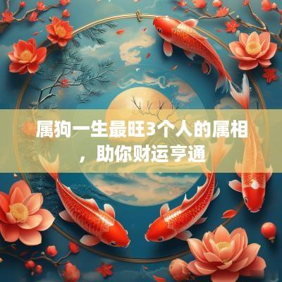 属狗一生最旺3个人的属相，助你财运亨通