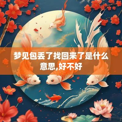 梦见包丢了找回来了是什么意思,好不好