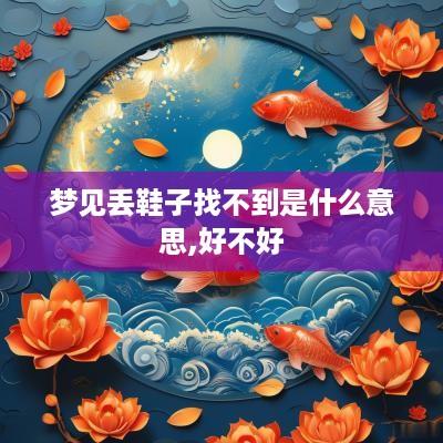 梦见丢鞋子找不到是什么意思,好不好