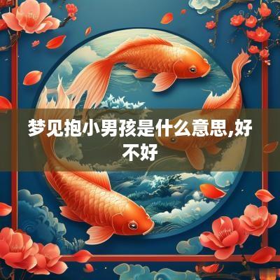 梦见抱小男孩是什么意思,好不好