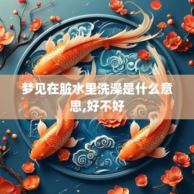 梦见在脏水里洗澡是什么意思,好不好