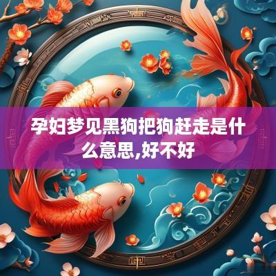 孕妇梦见黑狗把狗赶走是什么意思,好不好