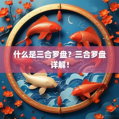 什么是三合罗盘？三合罗盘详解！