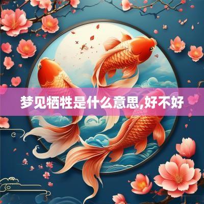 梦见牺牲是什么意思,好不好
