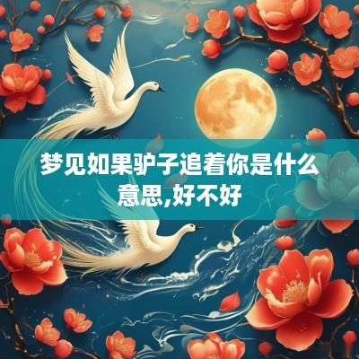 梦见如果驴子追着你是什么意思,好不好