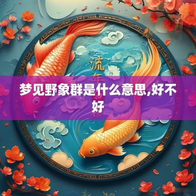 梦见野象群是什么意思,好不好