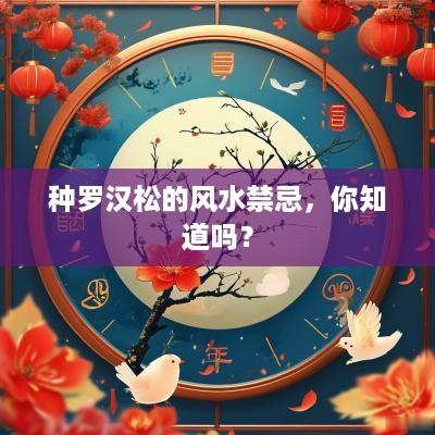 种罗汉松的风水禁忌，你知道吗？