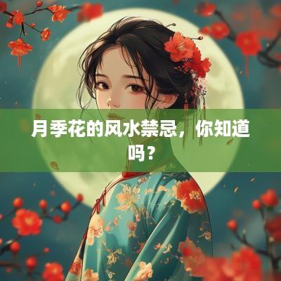 月季花的风水禁忌，你知道吗？