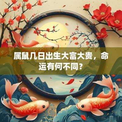 属鼠几日出生大富大贵，命运有何不同？