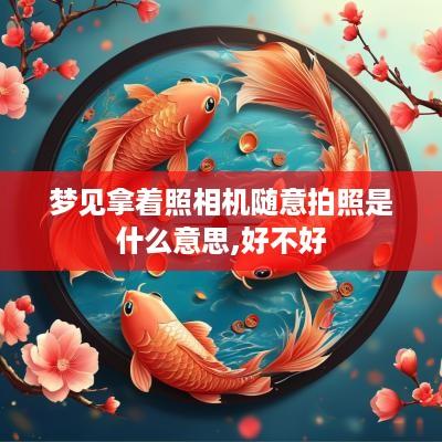 梦见拿着照相机随意拍照是什么意思,好不好
