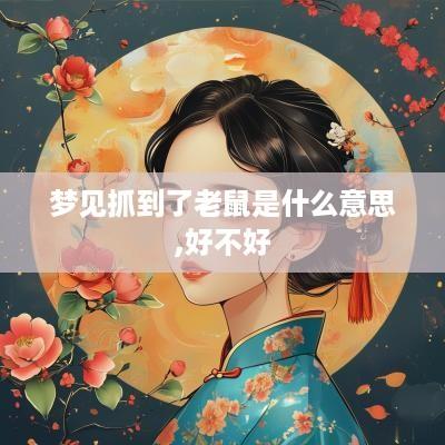 梦见抓到了老鼠是什么意思,好不好