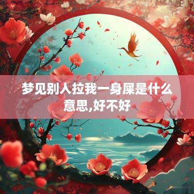 梦见别人拉我一身屎是什么意思,好不好