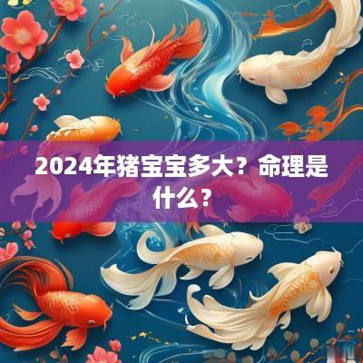 2025年猪宝宝多大？命理是什么？