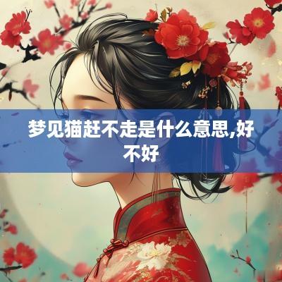 梦见猫赶不走是什么意思,好不好