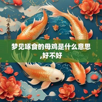 梦见啄食的母鸡是什么意思,好不好