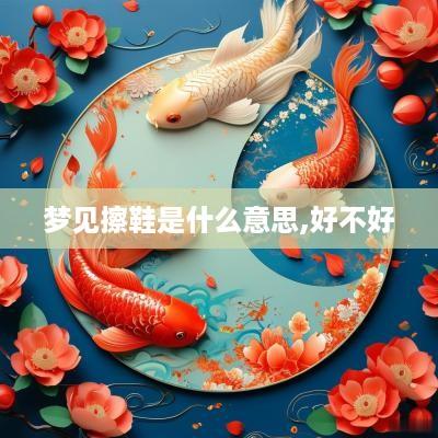 梦见擦鞋是什么意思,好不好