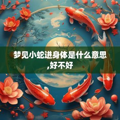 梦见小蛇进身体是什么意思,好不好