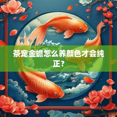 茶宠金蟾怎么养颜色才会纯正？