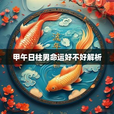 甲午日柱男命运好不好解析