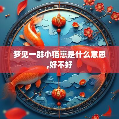 梦见一群小猫崽是什么意思,好不好