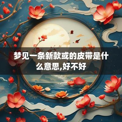 梦见一条新款或的皮带是什么意思,好不好