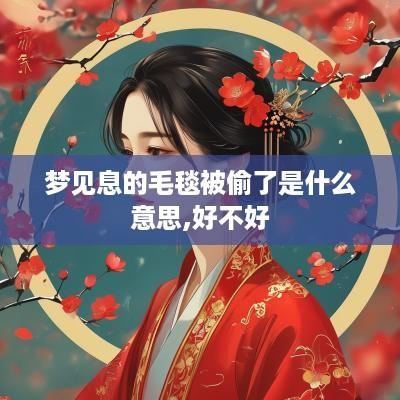 梦见息的毛毯被偷了是什么意思,好不好