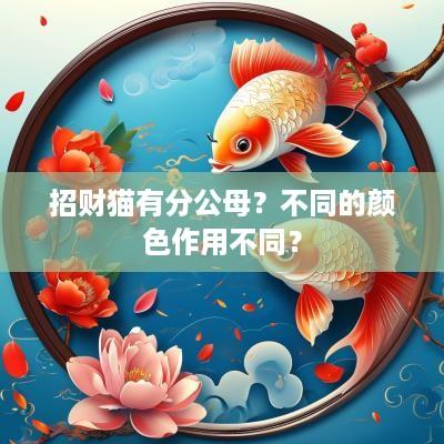 招财猫有分公母？不同的颜色作用不同？