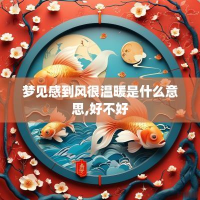 梦见感到风很温暖是什么意思,好不好