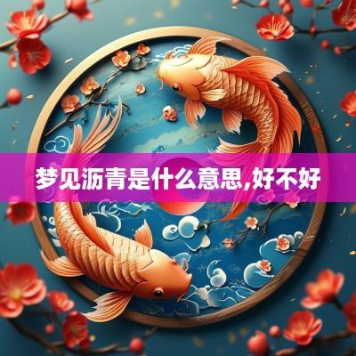 梦见沥青是什么意思,好不好