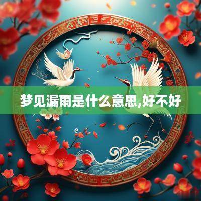 梦见漏雨是什么意思,好不好