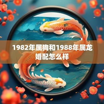 1982年属狗和1988年属龙婚配怎么样