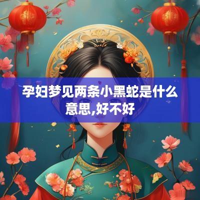孕妇梦见两条小黑蛇是什么意思,好不好