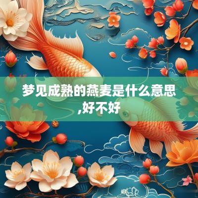 梦见成熟的燕麦是什么意思,好不好